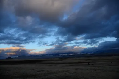 DSC_2956 (Large).JPG